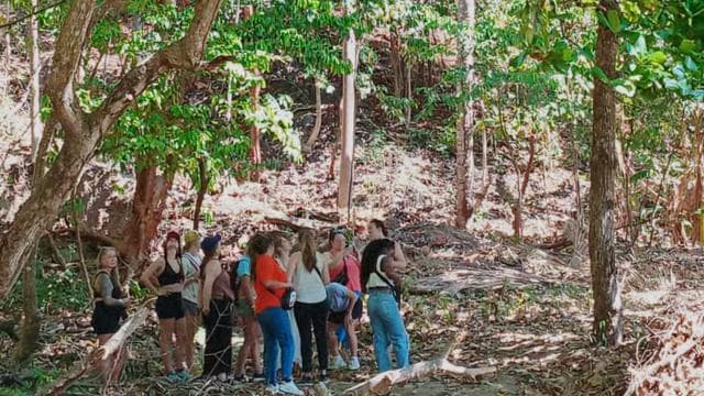 Jaco Horse Tours