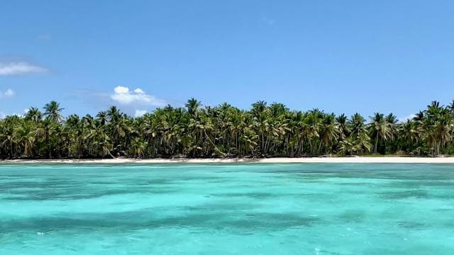 Puerto Viejo: Medicinal and Edible Plant Class