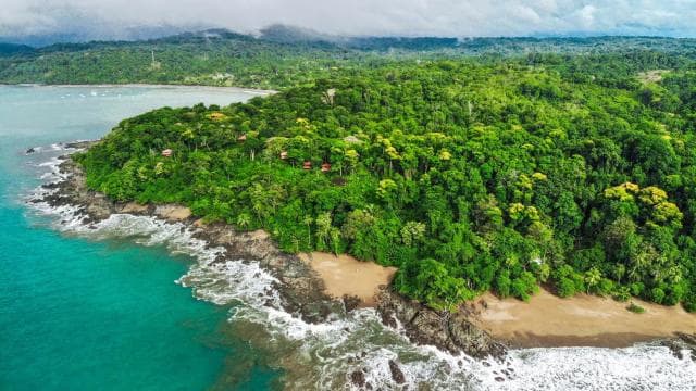 Corcovado National Park: Three Days and Two Nights Corcovado