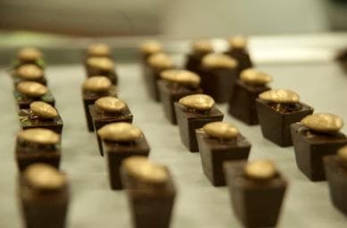 Dominican Republic: 3-Hour Chocolate Lovers Tour