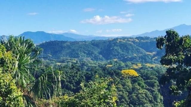 Jaco: Rainforest Horseback Ride to El Encanto Waterfall