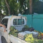 Going Deep Into The Authentic Dominican Neighborhood Tour