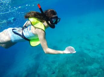 Snorkeling Tour & Sosua Beach Day