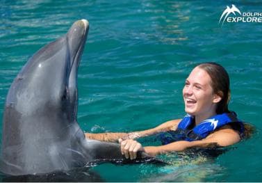 Punta Cana Dolphin Adventure: 40-Minute Interaction - Photo 3 (Gallery view)