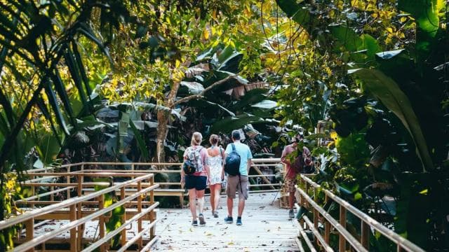Manuel Antonio: Discover the tropical forests & white-sand