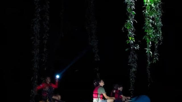 La Fortuna: Guided Twilight Wildlife Safari