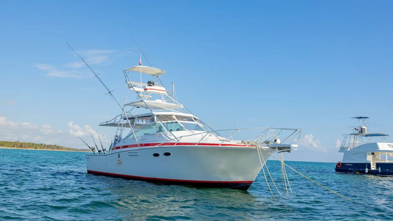 From Punta Cana: Deep Sea Fishing Tour by Boat with Drinks