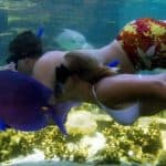 Întâlnire cu delfinii pentru rezidenții dominicani - Photo 4 (Gallery view)