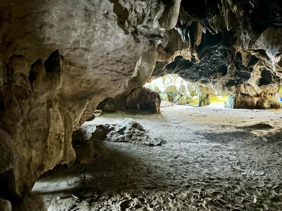 Los Haitises 4 Caves expedition & Rain Forest walk