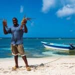 Insel Saona – Ganztägige offene Bar, Mittagessen und Hin- und Rückfahrt! - Dominican Republic