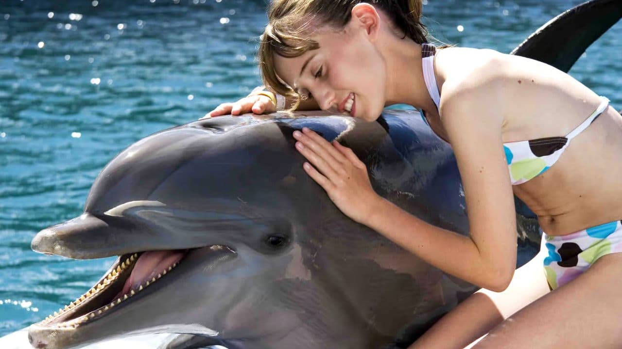Встреча с дельфинами в Ocean World, Пуэрто-Плата - Photo 4 (Gallery view)
