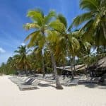 Saona Island Tour: Catamaran & Speedboat – All Inclusive - Photo 4 (Gallery view)