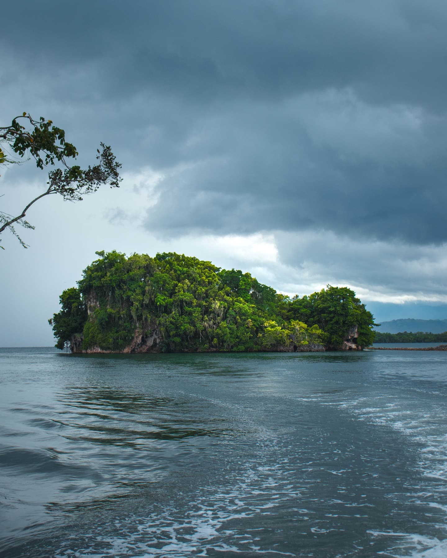 Samana : excursion d'une journée au parc national Los Haitises et à Caño Hondo - Photo 5 (Gallery view)