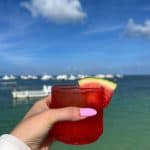 Punta Cana: Boat Party with Snorkel and Natural Pool Stop