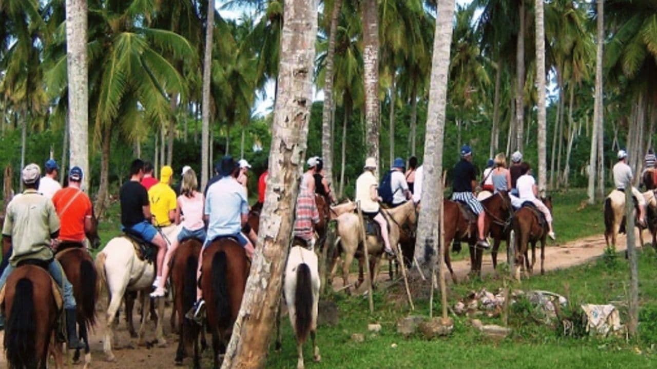Punta Cana: Cayo Levantado & Bacardi Island Trip with Lunch - Photo 5 (Gallery view)