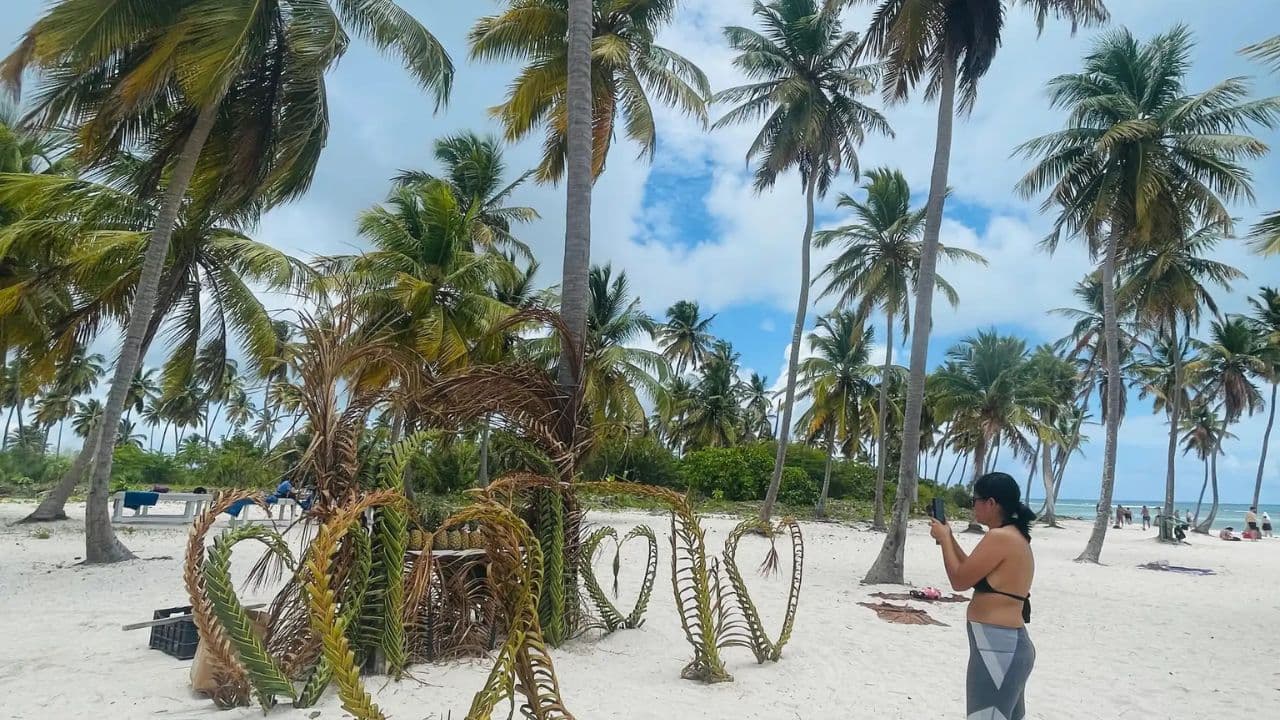 Santo Domingo: Saona Island full-day tour all-inclusive - Dominican Republic