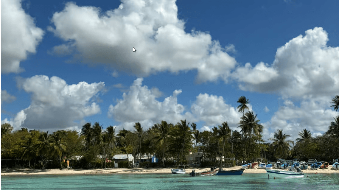 Punta Cana: Katamaran-Tour zur Insel Saona mit Mittagessen - Photo 2 (Gallery view)