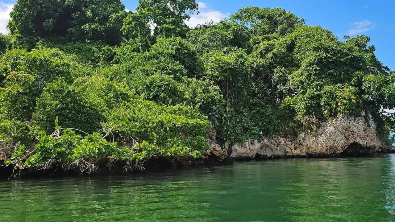 Sabana de la Mar: Los Haitises ATV Ride, Boat & Kayaking, Hiking Experience