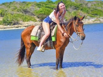 Discover the Trails of Punta Cana on a Horseback Ride