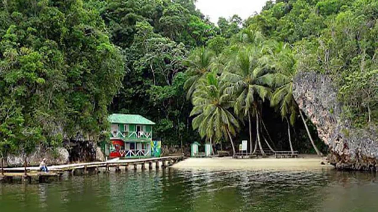 Saint-Domingue : excursion d'une journée au parc national Los Haitises - Photo 3 (Gallery view)