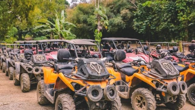 Carabalí-Regenwaldpark: UTV-Abenteuertour - Photo 1 (Main angle)