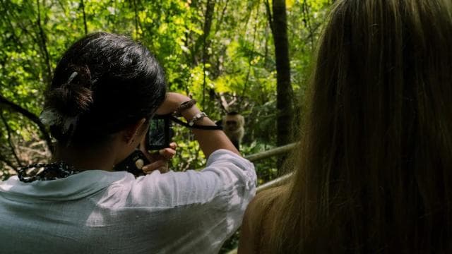 Manuel Antonio Park: Guided Walking Tour with a Naturalist