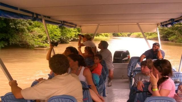 Nationalpark Palo Verde: Wildtier-Bootstour - Photo 4 (Gallery view)