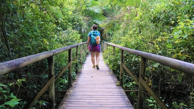 Manuel Antonio: Discover the tropical forests & white-sand