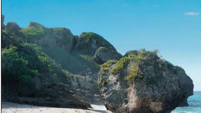 Puerto Rico: Aguadilla West Coast Beaches & Gastronomy Tour