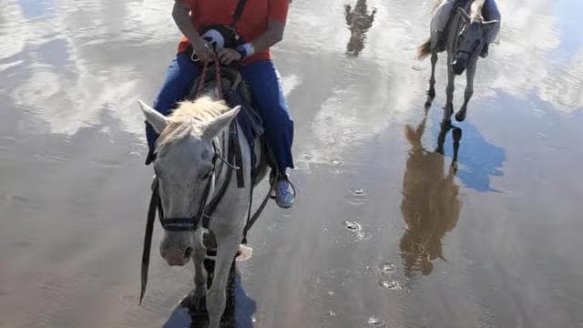 Jaco Horse Tours