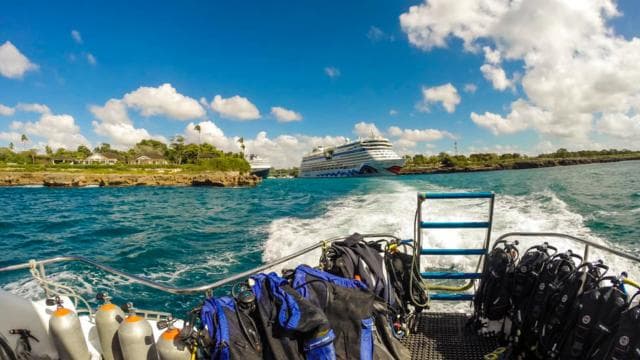 Catalina Island Scuba Diving Tour from Punta Cana