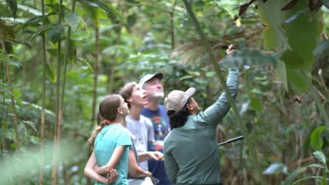 La Fortuna: Sloth & Wildlife Nature Walk