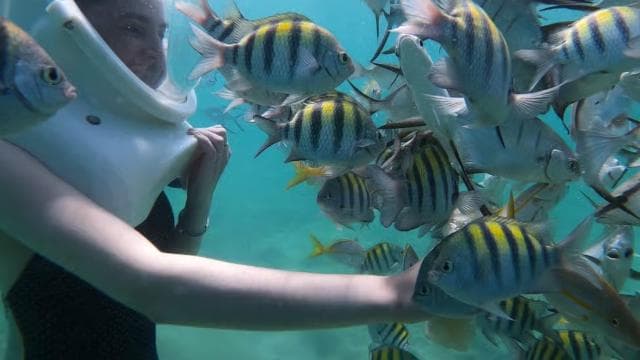 San Juan: sea trek tour explore beneath the waves