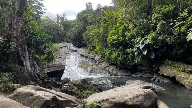 El Yunque esőerdői vízicsúszda és Luquillo tengerparti túra - Photo 5 (Gallery view)