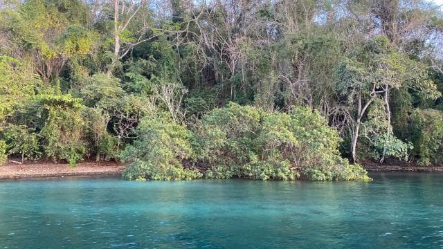 From Playa Pochote: Tortuga Island Private Tour