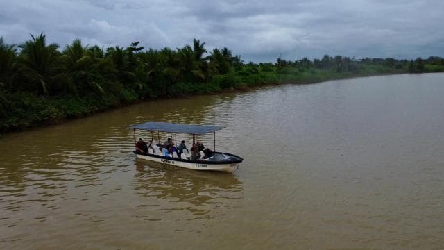 Quepos: Damas Island Authentic Local Mangrove Boat Tour