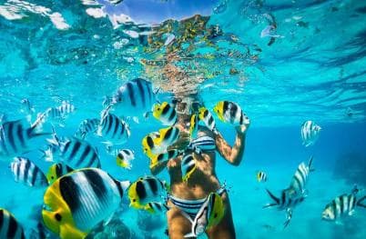 Punta Cana: Catalina Island and Snorkel For Small Group