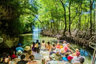 2in1: Los Haitises National Park + Yanigua Waterfall-SPA