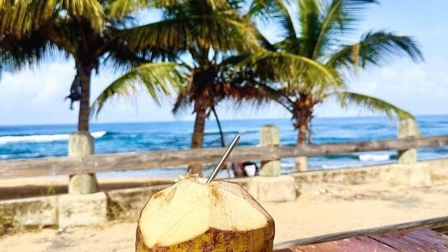 Greater San Juan Driving Food & Culture Tour