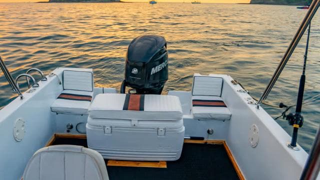 Costa Rica : location privée d'observation des dauphins et de plongée en apnée - Photo 3 (Gallery view)