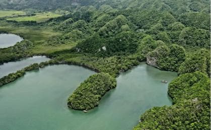 Private: Los Haitises & Cayo Levantado from Samana - Dominican Republic