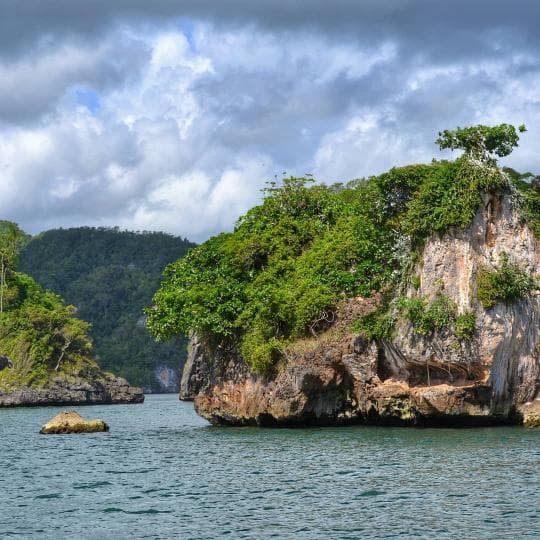Los Haitises National Park & Cayo Levantado Tour from Samaná Port – Adults $60 | Kids $45