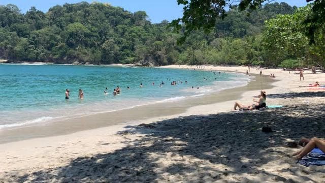 曼努埃尔安东尼奥国家公园：8 小时全包旅游 - Photo 5 (Gallery view)