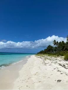 Saona Island VIP: 4 Beaches , Mano Juan & Canto de la Playa - Dominican Republic