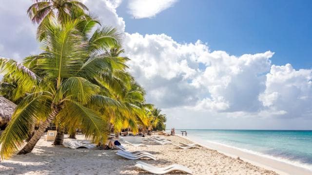 From Punta Cana: Saona Island Cruise with Private Beach