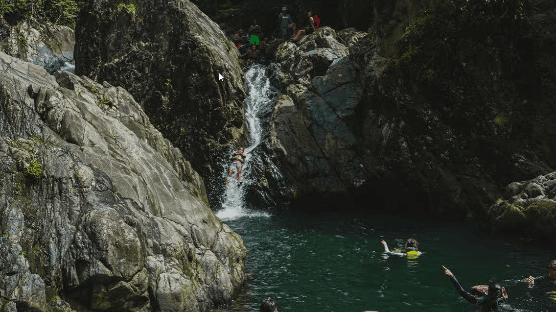 El Yunque Regenwaldwanderung und Wasserrutschentour - Photo 4 (Gallery view)
