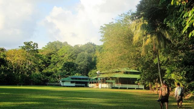 Corcovado National Park- Sirena/San Pedrillo Station - 1 Day