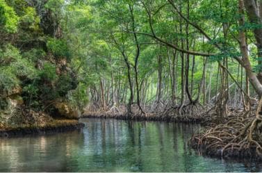 Sabana de la Mar: Los Haitises National Park Day Trip Free - Photo 2 (Gallery view)
