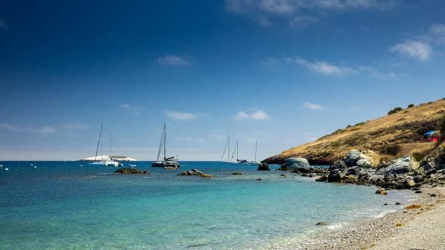 Punta Cana: Full Day Boat Trip to Catalina Island with Lunch
