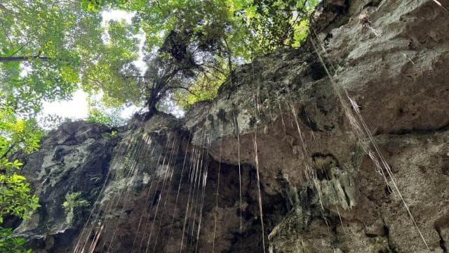 Santo Domingo City Tour From Punta Cana